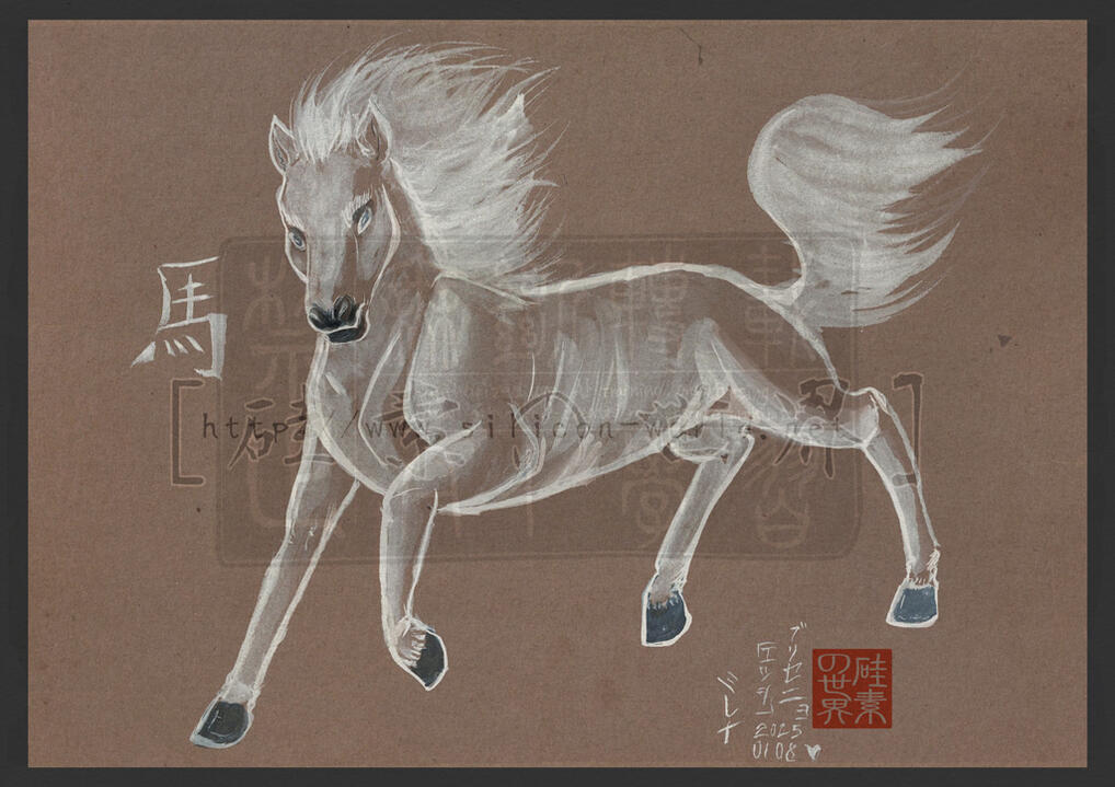 White Arabian horse White Arabian horse
